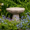 Tom Chambers Small Stone Bird Bath. 1 Tom Chambers Small Stone Bird Bath. -Garden Planting Supplies Store ALS027 1