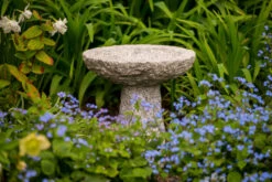 Tom Chambers Small Stone Bird Bath.