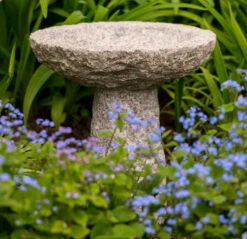 Tom Chambers Medium Stone Bird Bath. -Garden Planting Supplies Store ALS027 Stone Bird Bath 1