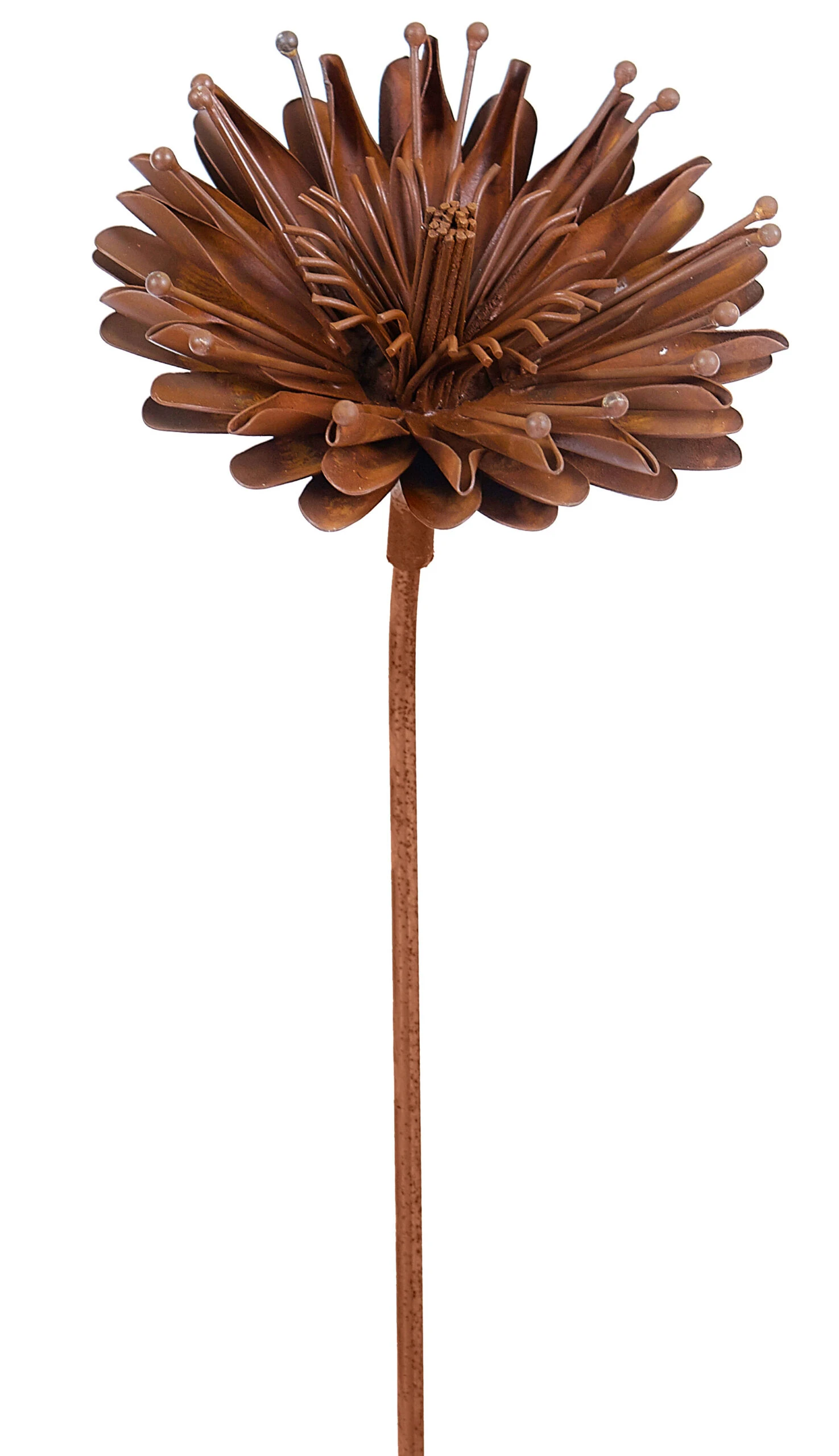 Rustic Aster Plant Stake 4 Rustic Aster Plant Stake - Image 2