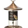Copper Metal Wild Bird Nyjer Seed Feeder Heavy Duty -Garden Planting Supplies Store CS073 Copper Nyjer Feeder