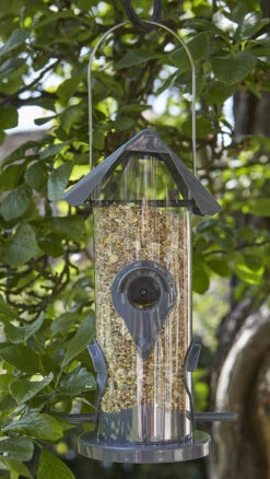 Everday 4 Feeding Port Seed Bird Feeder