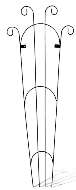 Rosa Trellis - Garden Trellis