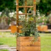 Skye Trellis Planter - Small -Garden Planting Supplies Store PLANTER