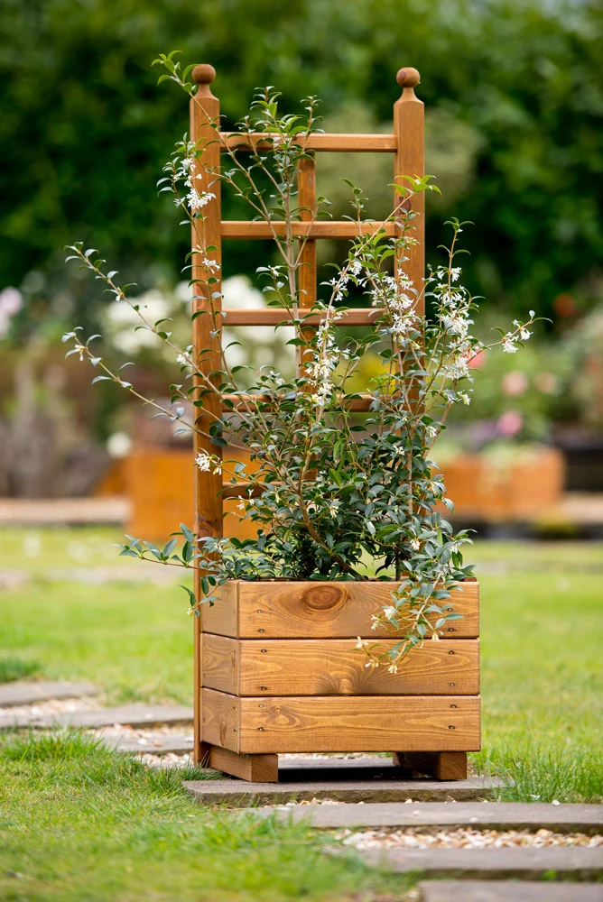 Skye Trellis Planter - Small 3 Skye Trellis Planter - Small