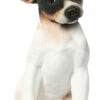 Jack Russell - Dog Animal Art Garden Ornament - Statues -Garden Planting Supplies Store RES172 Small Jack Russell