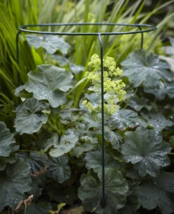 Tom Chamber Urban Garden Ring Medium