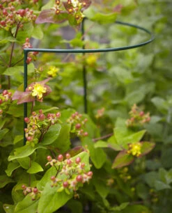 Tom Chamber Urban Garden Arc Medium