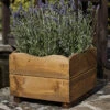 Tom Chambers Harris Wooden Square Planter -Garden Planting Supplies Store WP044 Harris Planter Plante