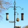 All Seasons Bird Feeding Station -Garden Planting Supplies Store all seasons bird station