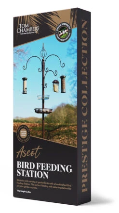 Ascot Bird Feeding Station
