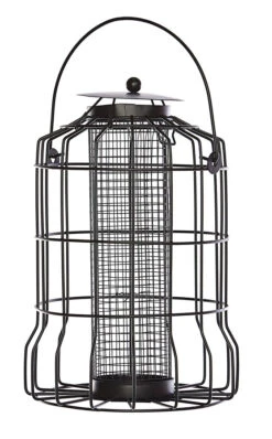 Garden Planting Supplies Store -Garden Planting Supplies Store bird fort feeder