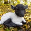 Black & White Small Laying Lamb - Garden Ornament