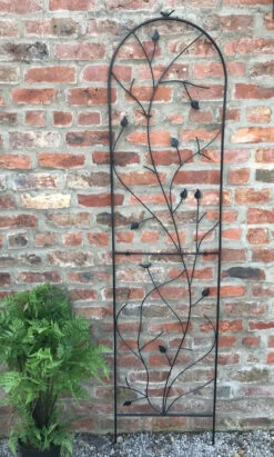 Garden Wall Trellis Bird Leaf Design Black Extra Large 2m X 0.5m -Garden Planting Supplies Store climbing trellis 6