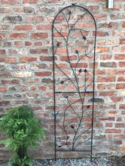 Garden Wall Trellis Bird Leaf Design Black Extra Large 2m X 0.5m -Garden Planting Supplies Store climbing trellis 7