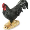 Black Cockerel - Garden Ornament -Garden Planting Supplies Store cockerel ornament