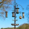 Cotswold Bird Feeding Station