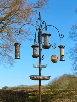 Cotswold Bird Feeding Station
