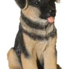 German Shepherd Puppy Dog - Garden Ornament -Garden Planting Supplies Store front shep
