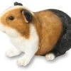 Smooth Haired Guinea Pig - Garden Ornament 1 Smooth Haired Guinea Pig - Garden Ornament -Garden Planting Supplies Store g p