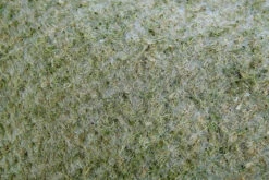 6m Long X 0.75m Wide Moss Effect Flower Garden Planter Liner On Roll