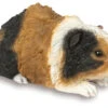 Rough Haired Guinea Pig - Garden Ornament