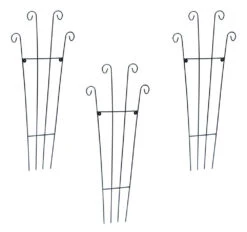 Medium Honey Suckle Trellis - Pack Of 3