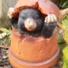 Mole Flower Pot Garden Ornament