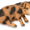 Oxford Sandy And Black Baby Pig - Garden Ornament -Garden Planting Supplies Store pig sat