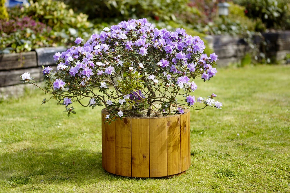 Arran Round Planter - Small 3 Arran Round Planter - Small