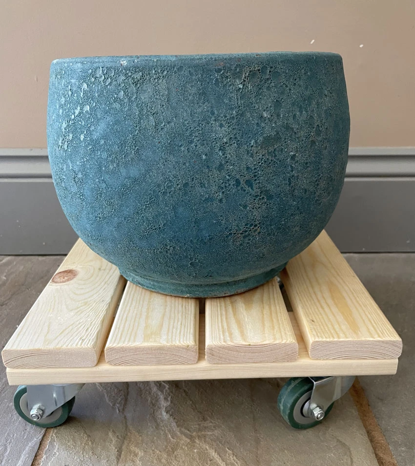 Potted Plant Stand Mover Wheels Caddy Trolley 300mm Natural 3 Potted Plant Stand Mover Wheels Caddy Trolley 300mm Natural