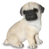 Pug Puppy Dog - Garden Ornament