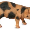 Oxford Pig - Animal Art Garden Ornament -Garden Planting Supplies Store res178