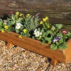 Wooden Trough Planter - Rosemoor
