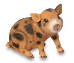 Brown And Black Sitting Baby Pig - Garden Ornament