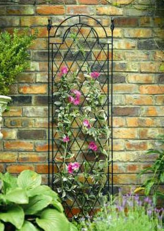 Spiral Garden Trellis (1.75m High) - Plant Supports