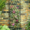 Spiral Garden Trellis (1.4m High) - Plant Supports -Garden Planting Supplies Store spiral