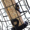 Metal Squirrel Proof Wild Bird Seed Feeder Cage 1 Metal Squirrel Proof Wild Bird Seed Feeder Cage -Garden Planting Supplies Store squirrel feeder