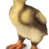 Standing Duckling - Garden Ornament 2 Standing Duckling - Garden Ornament -Garden Planting Supplies Store standing duckling