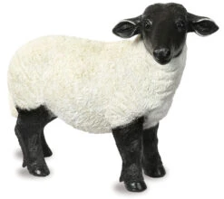 Suffolk Sheep - Garden Ornament