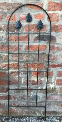 Curved Top Leaf Design Black Garden Trellis Panel -Garden Planting Supplies Store trellis support