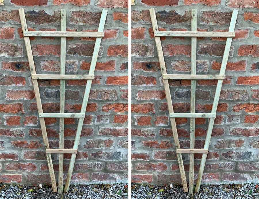 Climbing Plant Support Trellis Fan Wood 2 Pcs 3 Climbing Plant Support Trellis Fan Wood 2 Pcs