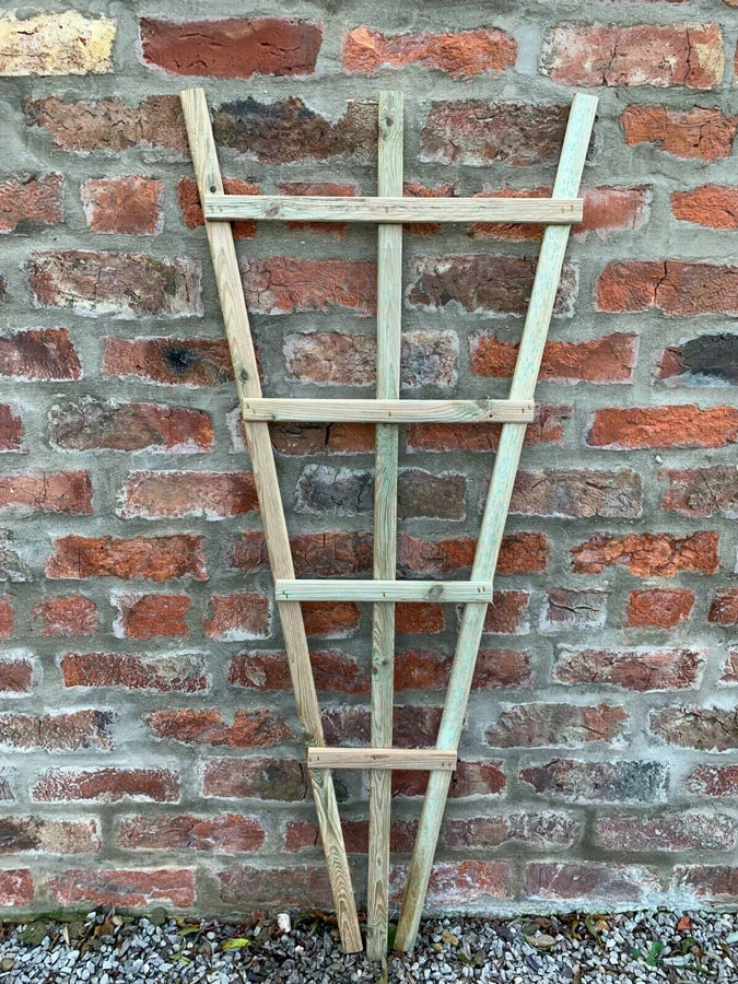 Climbing Plant Support Trellis Fan Wood 2 Pcs 4 Climbing Plant Support Trellis Fan Wood 2 Pcs - Image 2